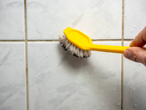 Best Office Mold Removal Services  in Compo, CT