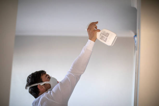 Best Mold Damage Repair  in Compo, CT