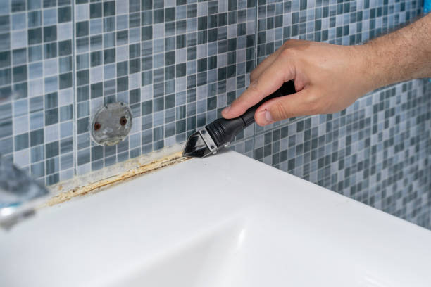 Mold Removal Process in Compo, CT